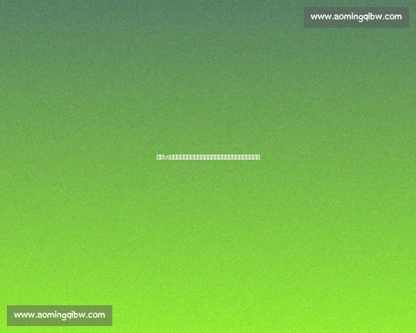 卢高vs艾科坎巅峰对决技术流与力量派的全面碰撞解析看点前瞻深